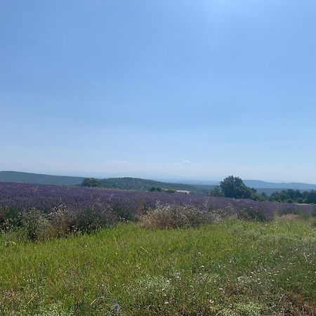 Provencal Farmhous Luberon, Swimming Pool Villa Revest-des-Brousses Exterior photo