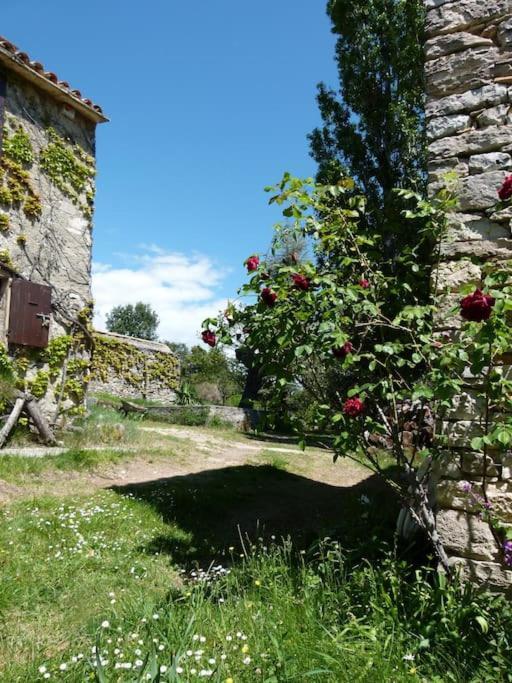 Provencal Farmhous Luberon, Swimming Pool Villa Revest-des-Brousses Exterior photo