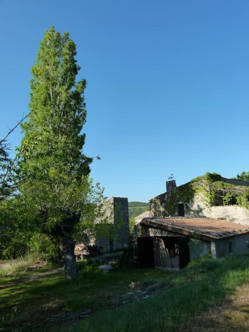 Provencal Farmhous Luberon, Swimming Pool Villa Revest-des-Brousses Exterior photo