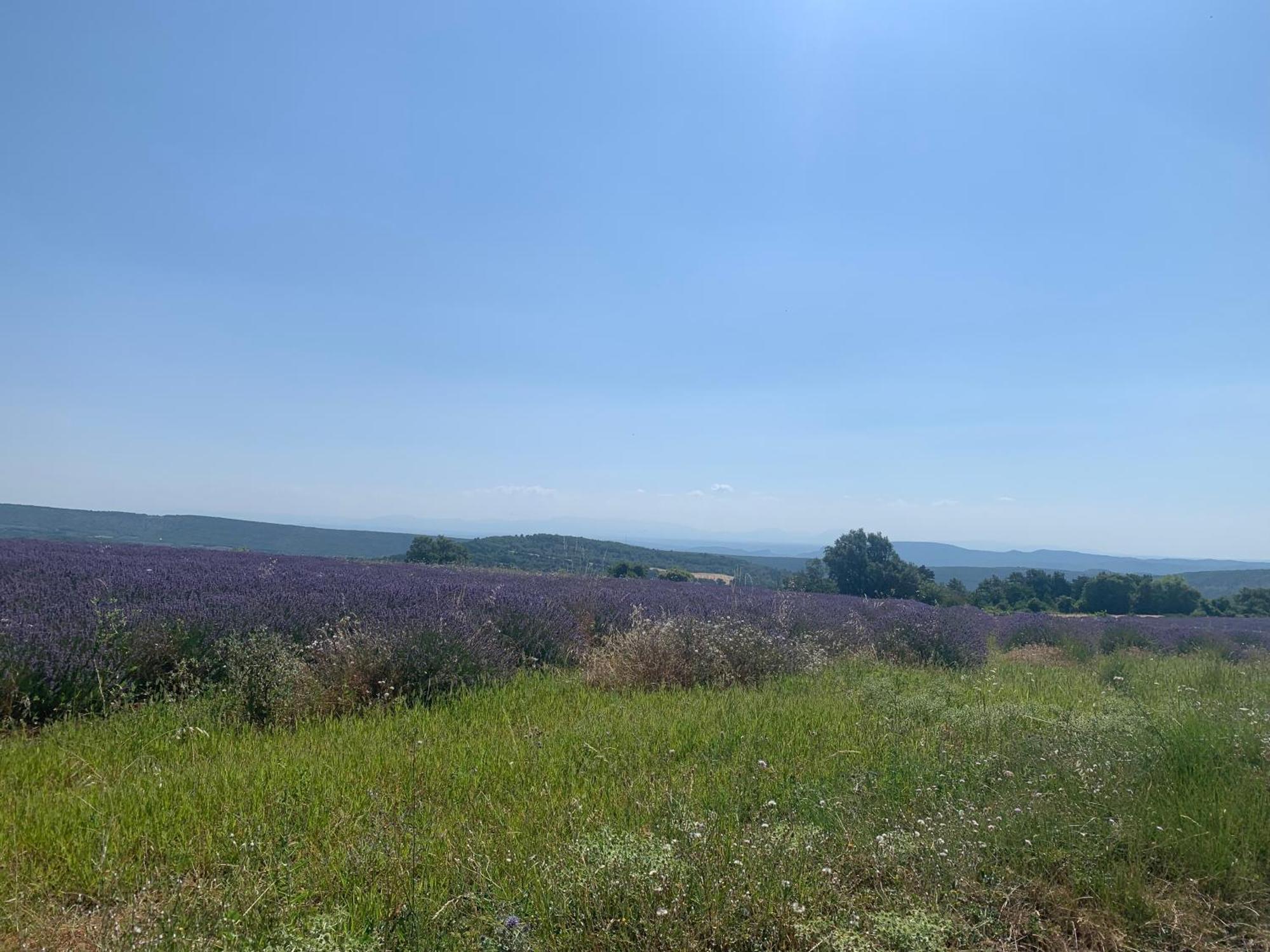 Provencal Farmhous Luberon, Swimming Pool Villa Revest-des-Brousses Exterior photo